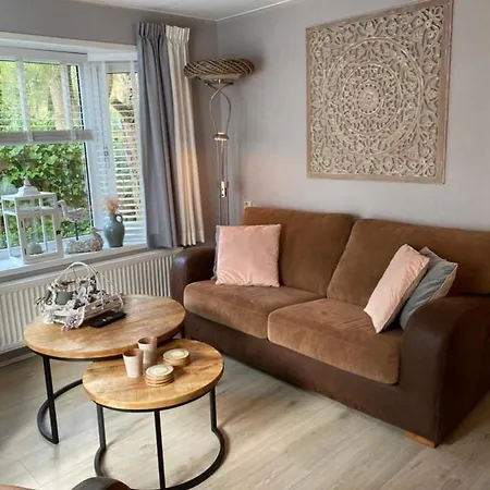 Luxe Met Prachtig Terras Op De Veluwe , Veel Privacy