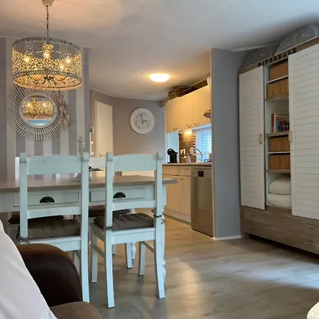 Luxe Met Prachtig Terras Op De Veluwe , Veel Privacy