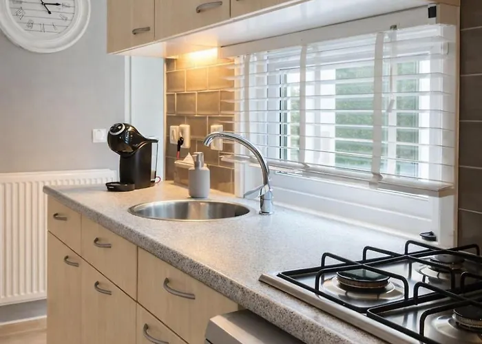 Luxe Met Prachtig Terras Op De Veluwe , Veel Privacy Hoenderloo