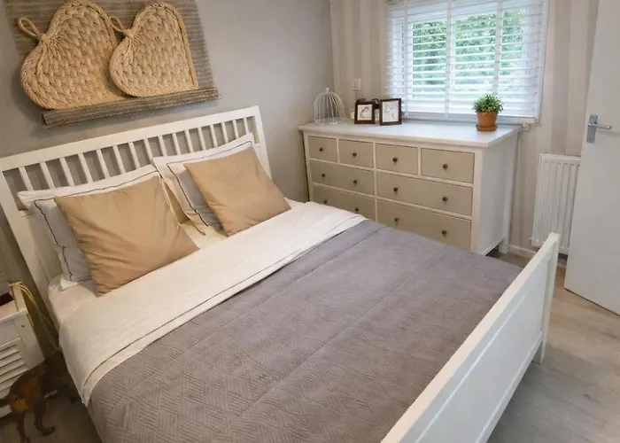 Luxe Met Prachtig Terras Op De Veluwe , Veel Privacy